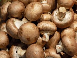 Champignon | Kalorier Champignon
