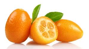 Tre kumquat